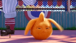 انیمیشن سانی بانیز قسمت 136 - sunny bunnies